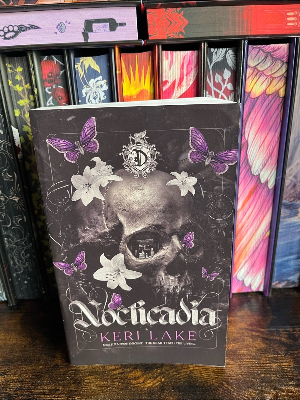 Nocticadia by Keri Lake Out of Print Paperback New